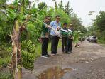 Sejumlah-ruas-jalanan-di-Klakah-Kabupaten-Lumajang-ditanami-pisang-oleh-warga.jpg