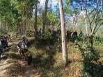 lahan-kopi-bondowoso-dirusak.jpg