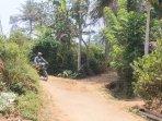 lokasi-pembunuhan-gondanglegi.jpg