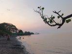 sunset-di-beach-forest.jpg