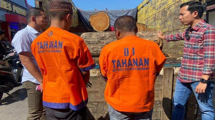 Curiga Ada Truk Muat Kayu Jati dari Hutan, Polisi Ponorogo Bekuk Sopir dan Kernet, Alasannya Terkuak