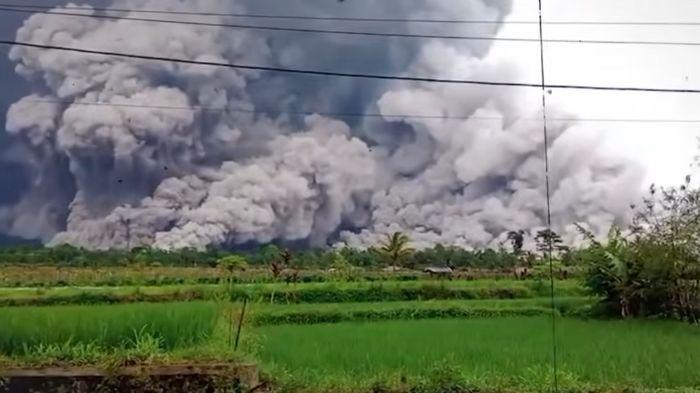 ABU VULKANIK - Sebuah dusun di Lumajang luluh lantak dengan material vulkanik karena Erupsi Gunung Merapi. Kini semuanya rata dengan material vulkanik, Rabu (19/11/2025).