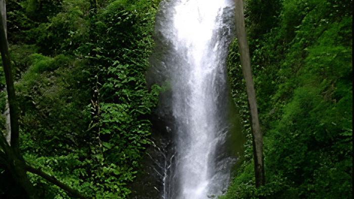 Air Terjun Selorejo