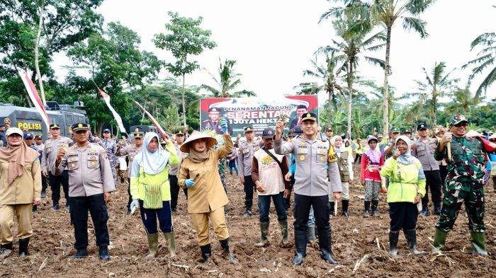 Dukung Program Nasional Penanaman 1 Juta Hektare Jagung, Segini Lahan yang Disiapkan Banyuwangi