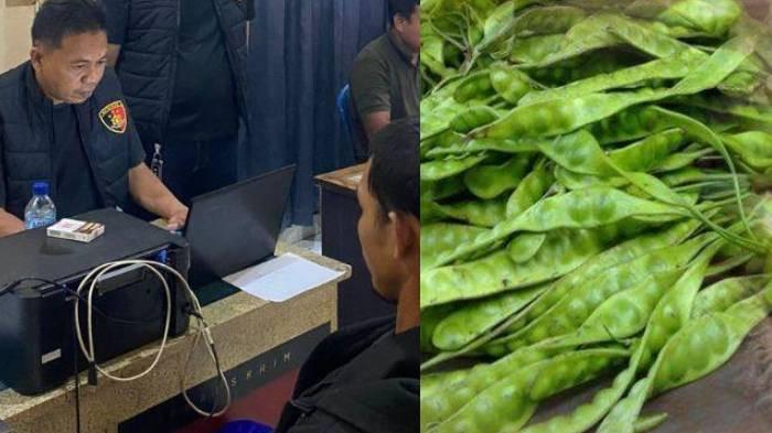 CURI PETAI - Soni menembak Zulkarnain menggunakan senapan angin karena mencuri petai di kebunnya.