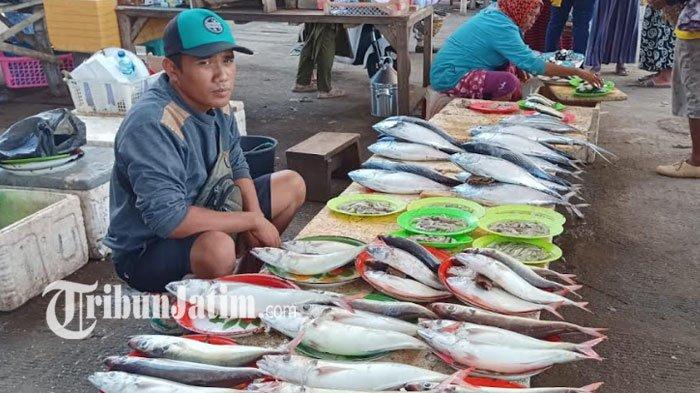 Inilah Tips Pilih Ikan Tanpa Pengawet dan Aman Dikonsumsi untuk Perayaan Malam Tahun Baru 2023, Cek!