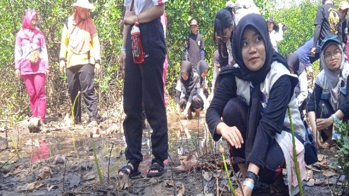 Cegah Abrasi, Belasan Mahasiswa Jember ini Tanam Puluhan Bibit Mangrove di Pantai Teluk Love