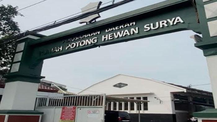 Mitra Jagal Tolak Relokasi RPH Surabaya ke Osowilangun, Pemkot Bakal Rumuskan Formula Terbaik