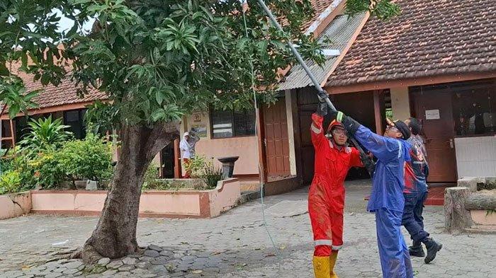 Teror Ulat Bulu di Madiun Bikin Merinding, Ratusan Siswa SD Mengeluh Gatal-gatal