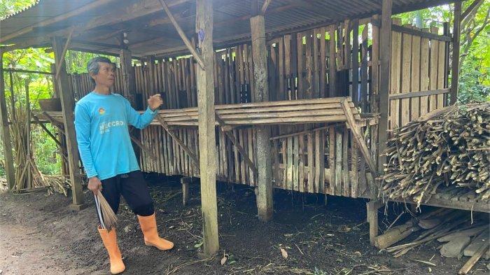 Puluhan Kambing di Pomahan Ponorogo Mati Mendadak, Peternak Rugi Sampai Ratusan Juta