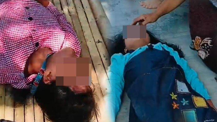 Dua Gadis di Jember Tertimpa Pohon Saat Naik Motor Tak Pakai Helm, Alami Luka di Kepala