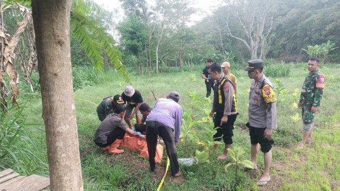Tinggal di Gubuk Bersama Monyet, Orang Tak Dikenal di Bondowoso Ditemukan Tewas, Diduga Kelaparan