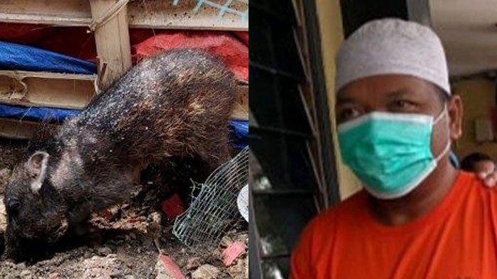 Sudah Bikin Geger, Si Ustaz 'Babi Ngepet' Justru Salahkan Setan Rasuki Dirinya, Ngaku Ingin Disegani