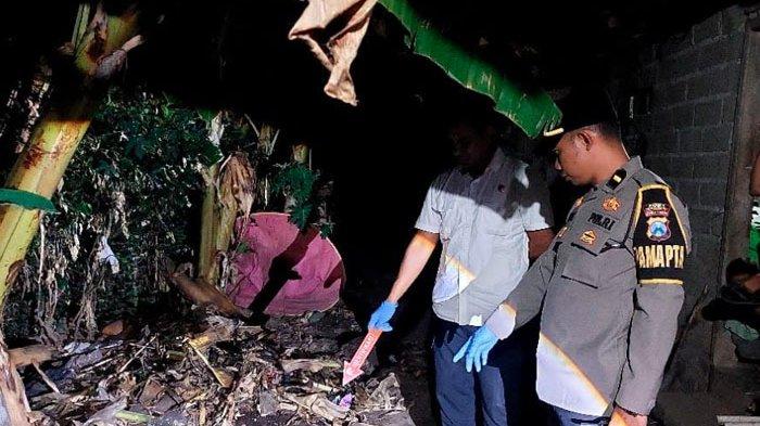 BAYI - Lokasi bayi yang dikuburkan oleh ibu kandungnya di Desa Alasbuluh, Kecamatan Wongsorejo, Kabupaten Banyuwangi, Jawa Timur, Senin (3/11/2025) malam. Solehak tega mengubur bayinya karena malu punya banyak anak dan jadi gunjingan warga.