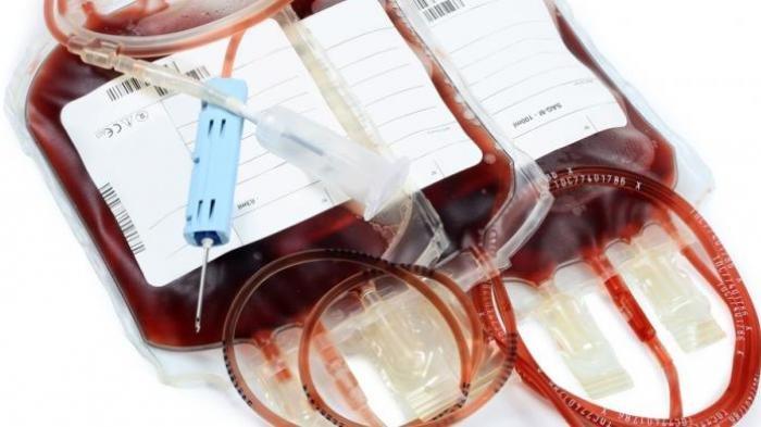 Meski Mengalami Penurunan Donor Darah, PMI Kota Malang Jamin Stok Darah selama Sebulan Aman