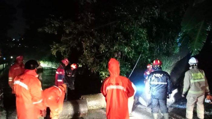 Pohon di Jurang Susuh Kota Batu Tumbang, Lalu Lintas Lumpuh Total