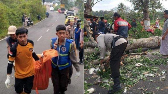 BERITA VIRAL TERPOPULER - (foto kiri) Petugas Satreskrim Polres Mojokerto bersama K9 Polda Jatim, dan relawan saat mengevakuasi potongan tubuh manusia korban mutilasi yang ditemukan di semak belukar tepi jalan raya Pacet-Cangar, di Dusun Pacet Selatan, Mojokerto, dan (foto kanan) Tim reaksi cepat BPBD, Polri, TNI dan warga gotong royong evakuasi pohon tumbang yang menimpa mobil angkutan umum di Desa Suger Lor, Kecamatan Maesan, Bondowoso, Jawa Timur, Sabtu (6/9/2025). Pohon tersebut tumbang usai terjadi angin kencang.