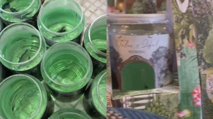 Kisah Viral Pengantin Beri Souvenir Ikan Cupang ke Tamu Undangan, Lengkap Ada Panduan Cara Merawat
