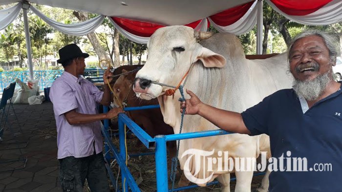 Tidak Bagikan Kupon Daging Kurban, Masjid Al Akbar Surabaya Katakan Alasannya