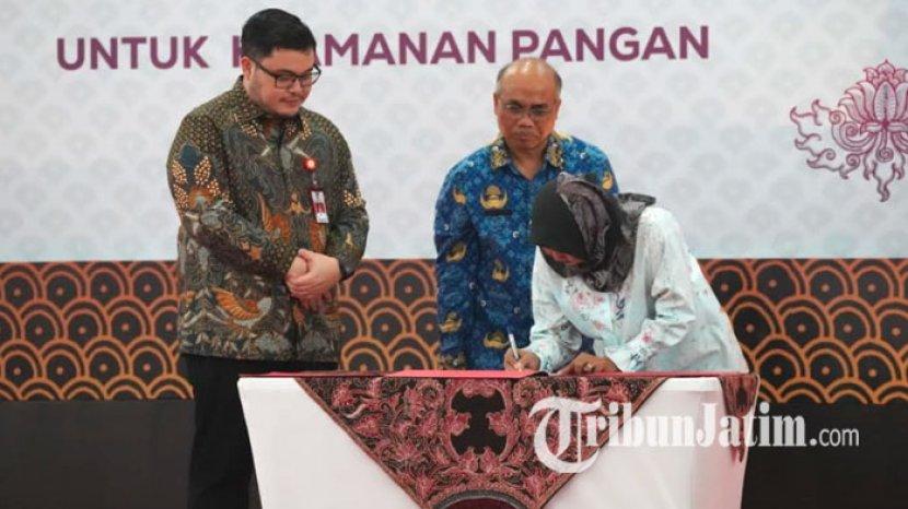 Tribun