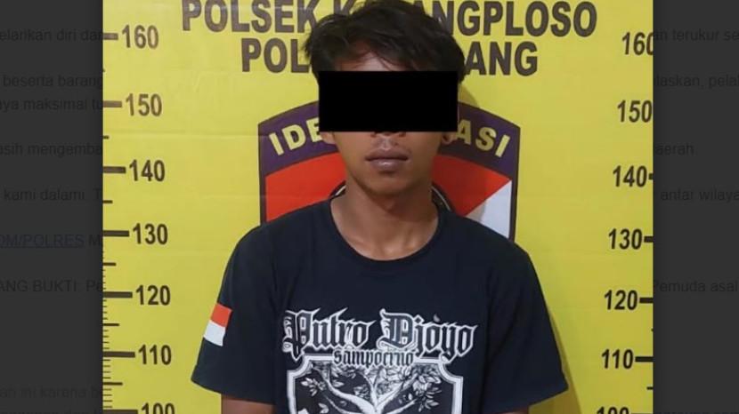 Tribun
