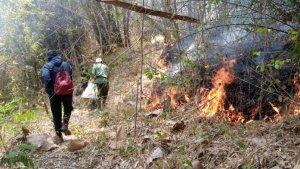 Api-berkobar-di-kawasan-hutan-lereng-barat-Gunung-Budheg.jpg