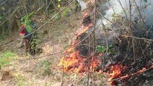 Api-saat-masih-berkobar-di-lereng-barat-Gunung-Budheg.jpg