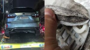 Filter-BBM-pada-Lexus-RX-300-milik-Stella-Kirana-masalah-usai-diisi-Pertamax.jpg