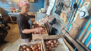 Harga-Telur-di-Kota-Malang-Naik-Tipis.jpg