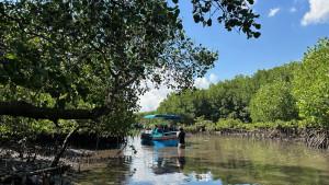 Hutan-di-Bali-yang-kini-memiliki-SHM.jpg