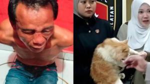 Imbas-Warga-Telanjur-Makan-Daging-100-Kucing-Jualan-Sujadi-Dinkes-Cemaskan-Penularan-Rabies.jpg