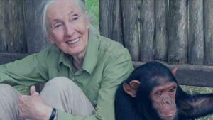 Jane-Goodall-ahli-primata-legendaris-yang-meninggal-dunia.jpg