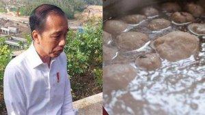 Jokowi-batal-pesan-2500-porsi-bakso-untuk-disajikan-dalam-perayaan-HUT-RI-di-IKN.jpg