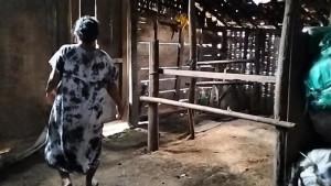 Kandang-sapi-TKP-IMH-membacok-sapi-milik-keluarga.jpg