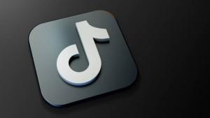 Lagu-Aku-Dah-Lupa-yang-dinyanyikan-Zia-dan-Mikky-viral-TikTok.jpg