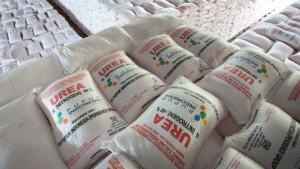 Pemkab-Pamekasan-Ingatkan-Kios-Tak-Jual-Pupuk-Subsidi-di-Atas-HET.jpg