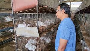 Penampakan-peternakan-kelinci-yang-berada-di-Desa-Banjarsari.jpg
