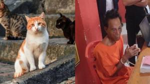 Penjagal-daging-kucing-yang-ramai-disoroti-publik.jpg
