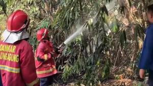 Personel-pemadam-kebakaran-sedang-menyemprot-api-yang-berkobar-karena-pembakaran-sampah.jpg