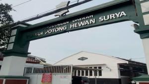 Perusahaan-Daerah-Rumah-Potong-Hewan-RPH-Surya-Surabaya-di-Pegirian.jpg