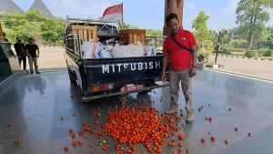 Petani-Tomat-asal-Kecamatan-Kare-Darsyanto-menumpahkan-semua-tomat-berkualitas-buruk.jpg