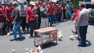 Peternak-ayam-broiler-yang-tergabung-dalam-Paguyuban-Peternak-Ayam-Broiler.jpg