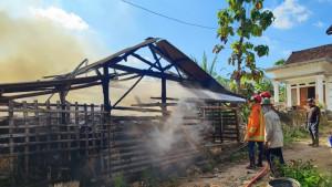 Petugas-Damkar-Tuban-bersama-warga-saat-memadamkan-api-yang-membakar-kandang-kambing.jpg