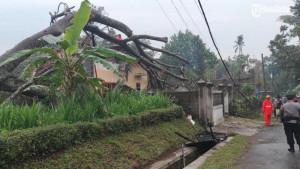 Petugas-gabungan-dan-warga-membersihkan-pohon-tumbang-menimpa-rumah-warga-di-blitar.jpg