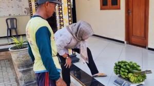 Pisang-kini-bisa-menjadi-pengganti-bayar-PBB-di-Ponorogo.jpg
