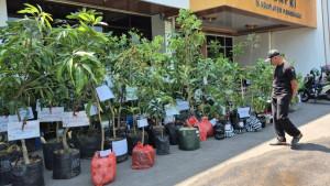 Ratusan-bibit-pohon-ada-tulisan-nama-dan-NIPPPK-di-depan-Gedung-Korpri.jpg