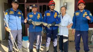 Suara-misterius-dari-sebuah-gudang-yang-membuat-pemilik-rumah-jadi-penasaran.jpg