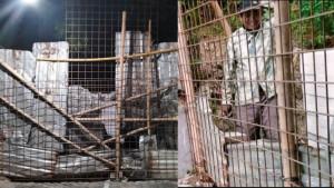Tabiat-Ari-yang-Tutup-Akses-Jalan-Umum-Diungkap-Tetangga-Kurang-Sosialisasi-hingga-Rumah-Bau-Sampah.jpg