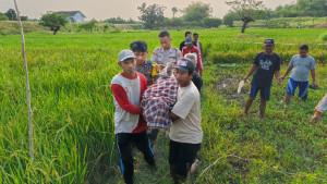 Warga-Lamongan-ditemukan-meninggal-di-sawah-miliknya-akibat-kesetrum-listrik-jebatan-tikus.jpg