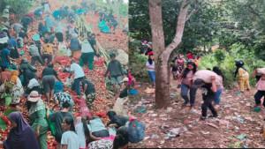 Warga-Serbu-3-Kontainer-Bawang-yang-Tergeletak-di-Jalan-Pemilik-Tak-Diketahui-Ketua-RT-Bagus.jpg